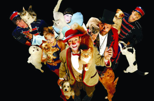Popovich animal comedy theatre