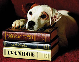 wishbone scene famous jackrussel terrier