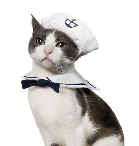 Namsan cosplay pet costume