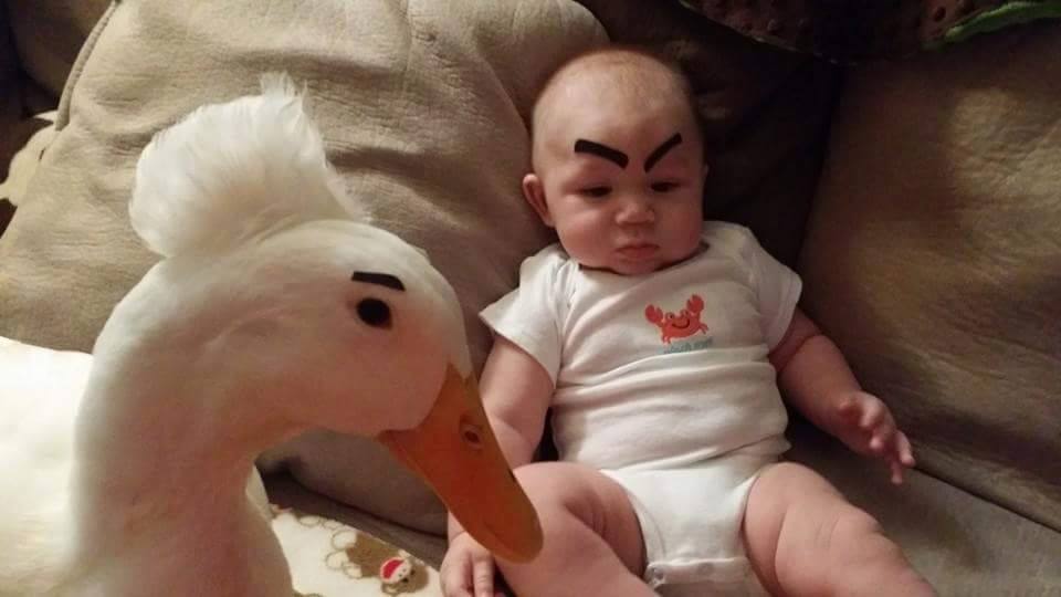 duck plus toddler friend