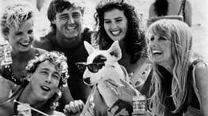 famous budweiser ads Spuds budweiser dog