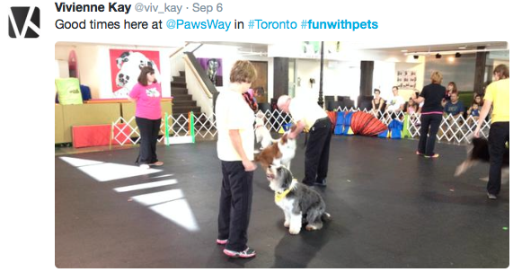 pawsway toronto