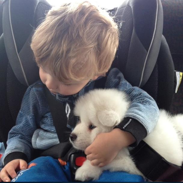 puppy hug