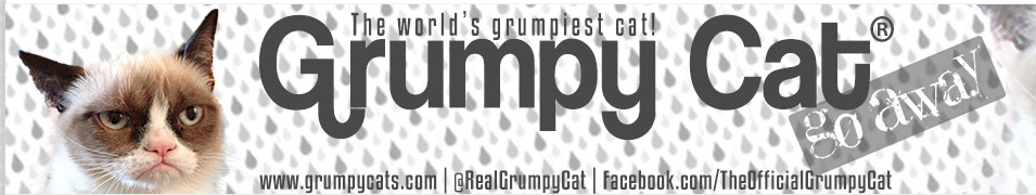 grumpy cat website