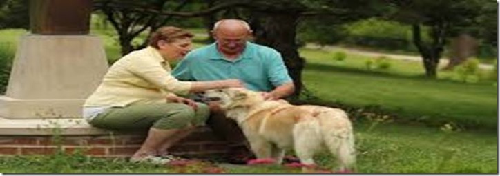 clip_image003