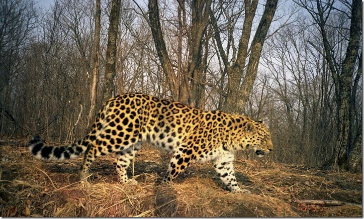 2004_Mar_28_cam30