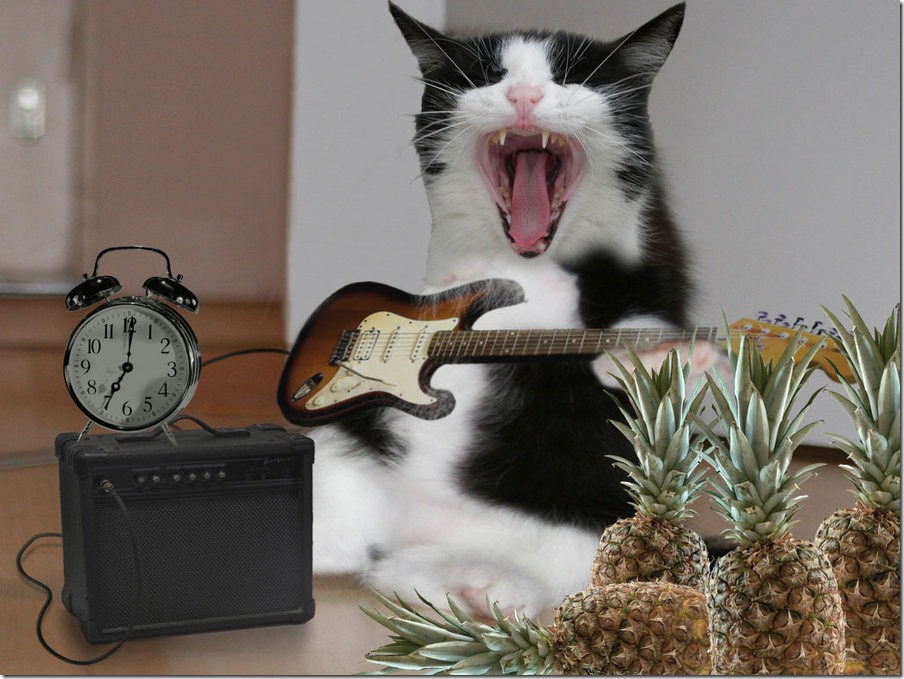 cat_rocker__d_by_stefandarkman-d3b9bxk