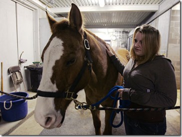 HORSES HELPING PEOPLE