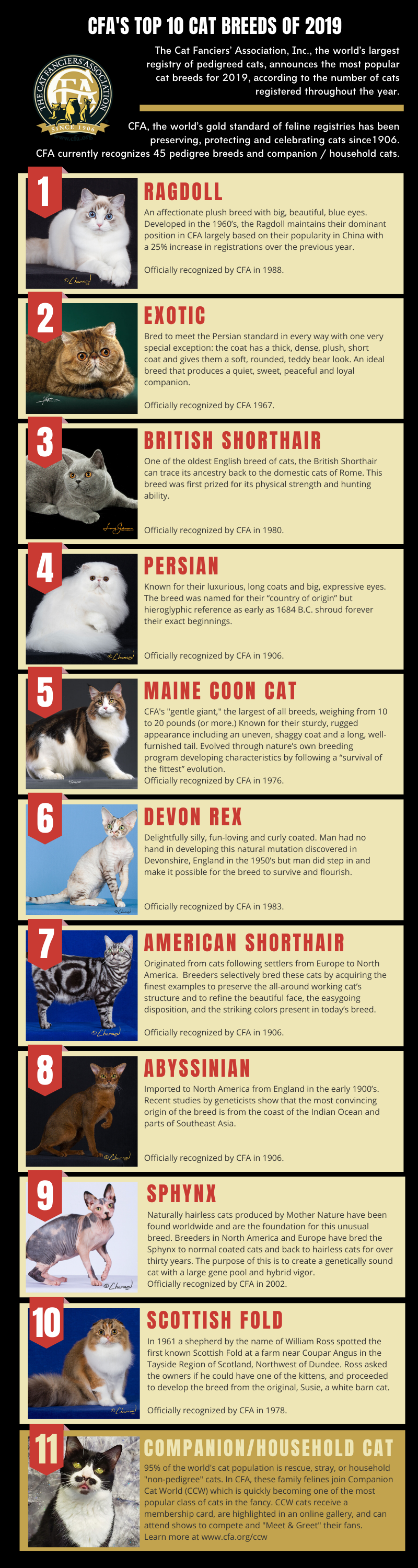 CFA Top Cat Breeds 2019