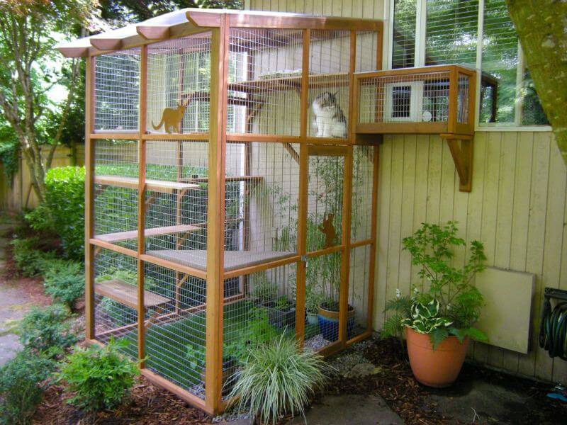 Cat patio DIY