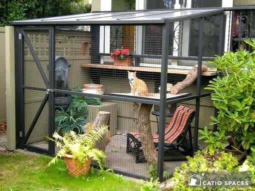 Large sit-in catio