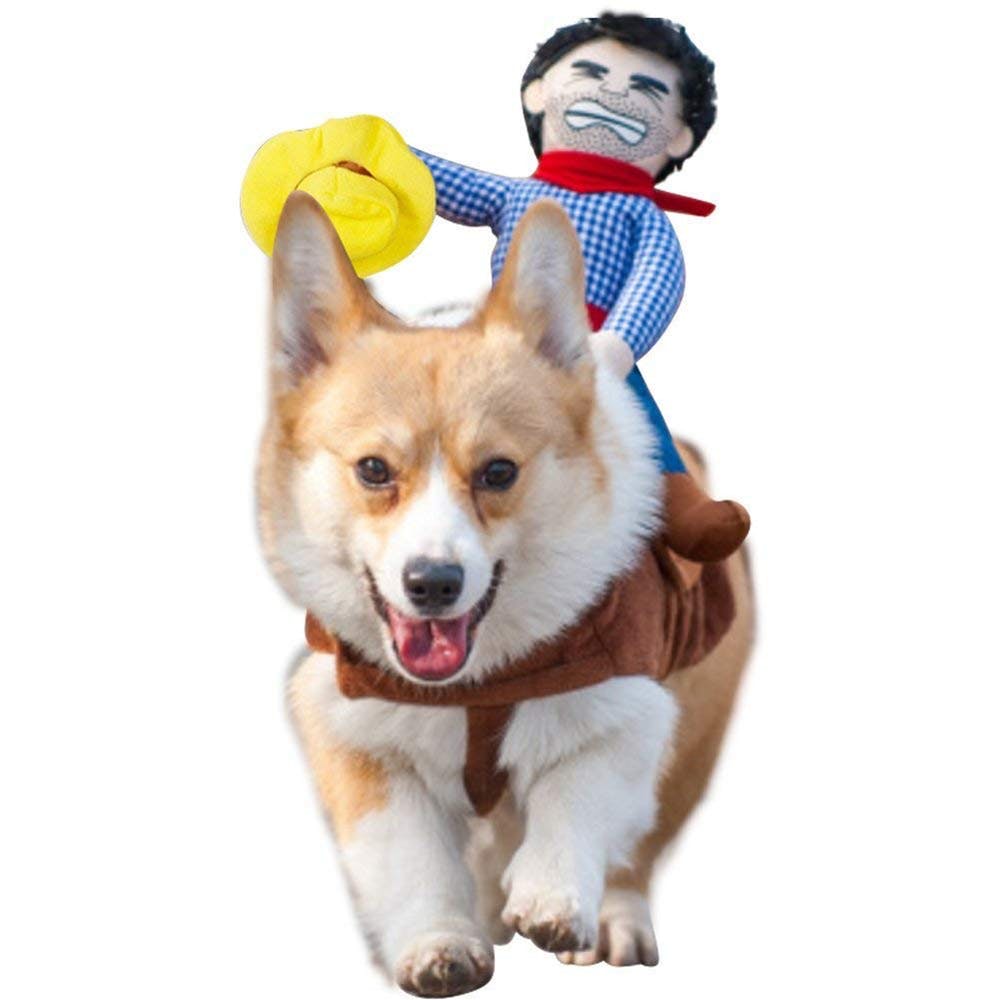 Corgi Cowboy Costume