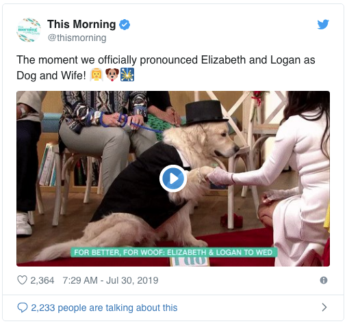 DoggieMarriage