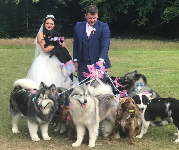 KareBear Kennels Kent UK