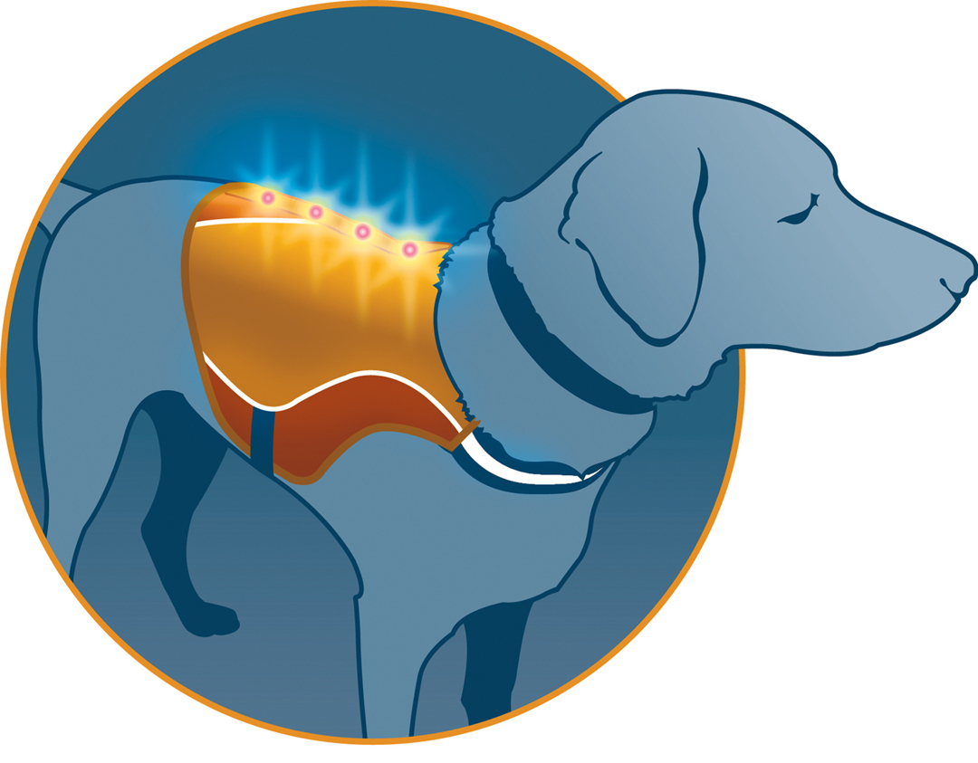 Kurgo Reflective Dog Vest