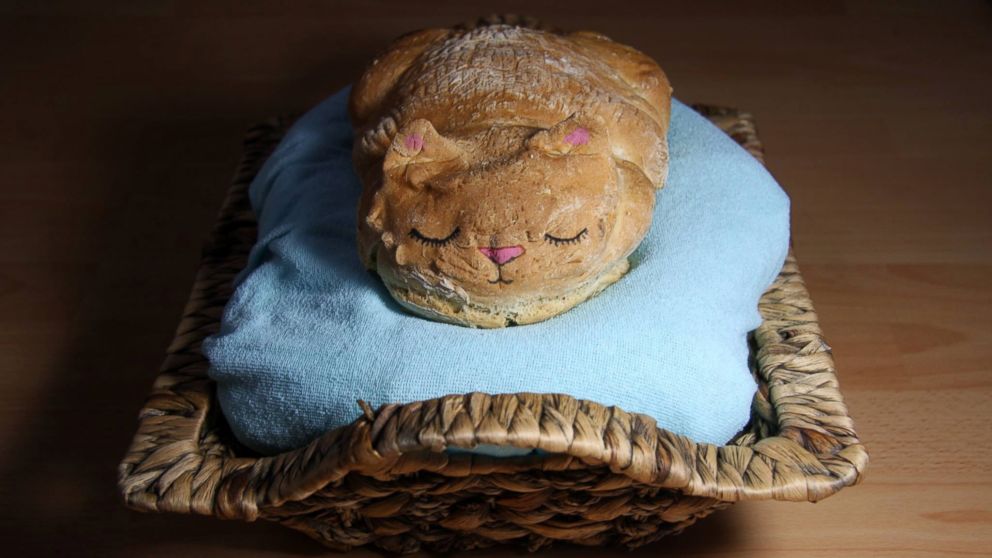 Catloaf by LouLouP