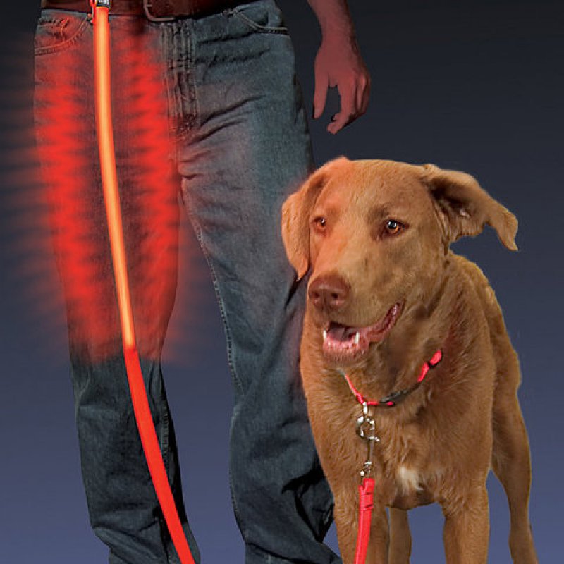 Nite Ize Dog Leash