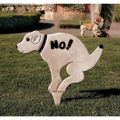 No dogs allowed