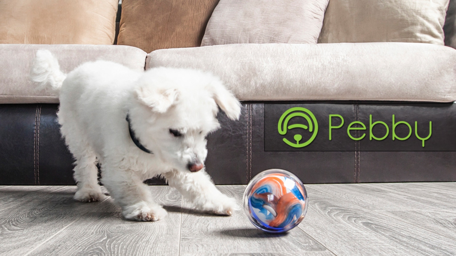 pebby smart ball