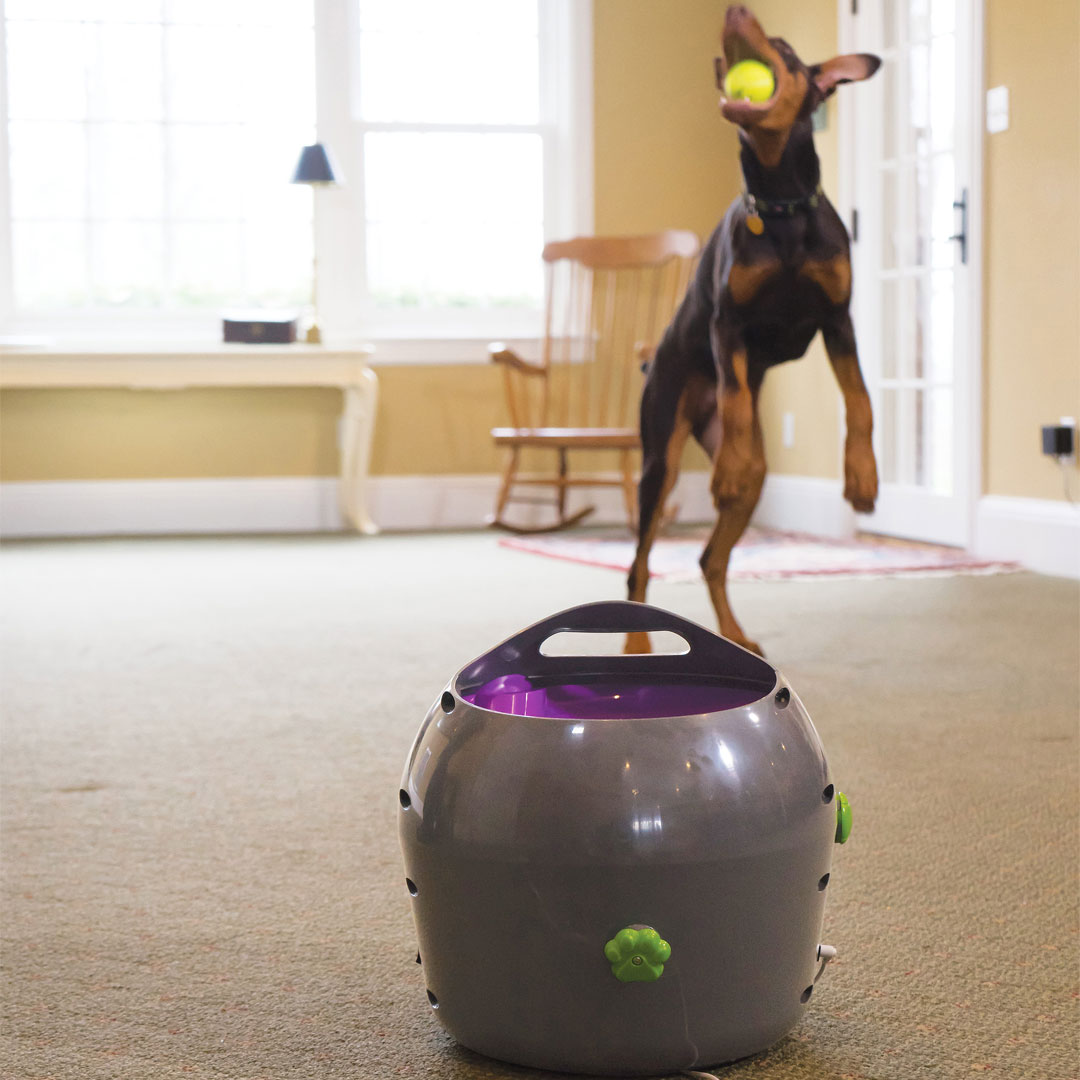 PetSafe Ball Launcher