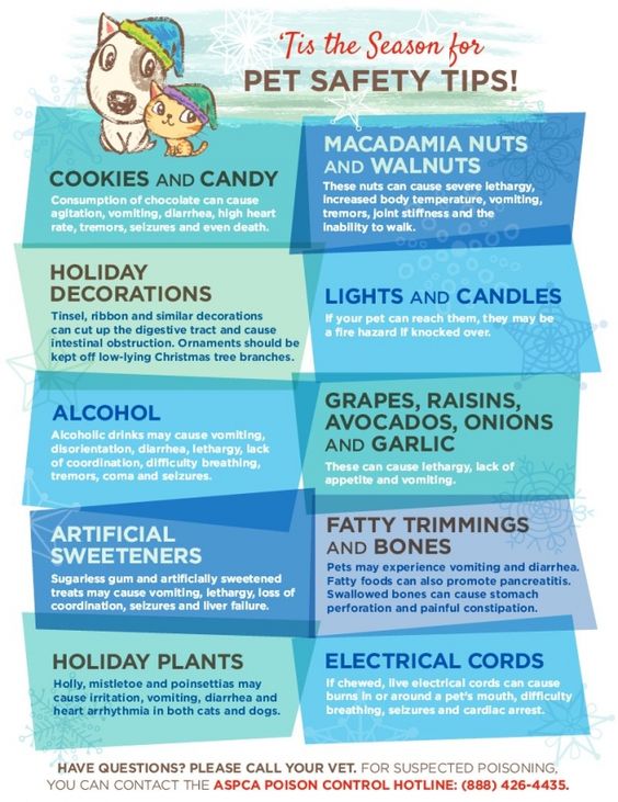 ASPCA Pet Safety Tips
