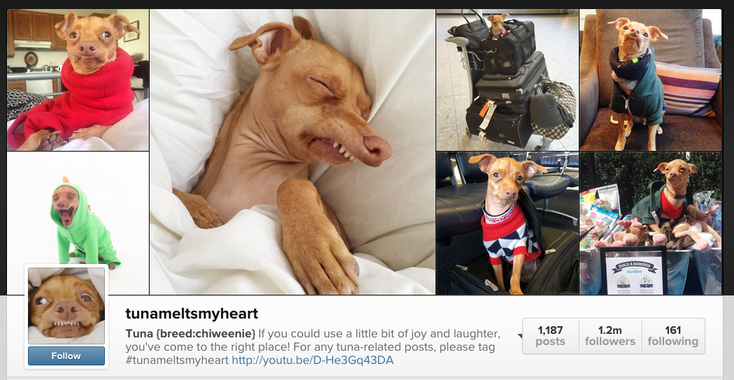 tunmeltsmyheart