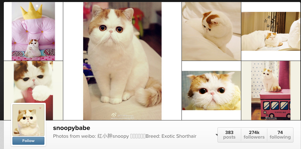 Snoopy Babe