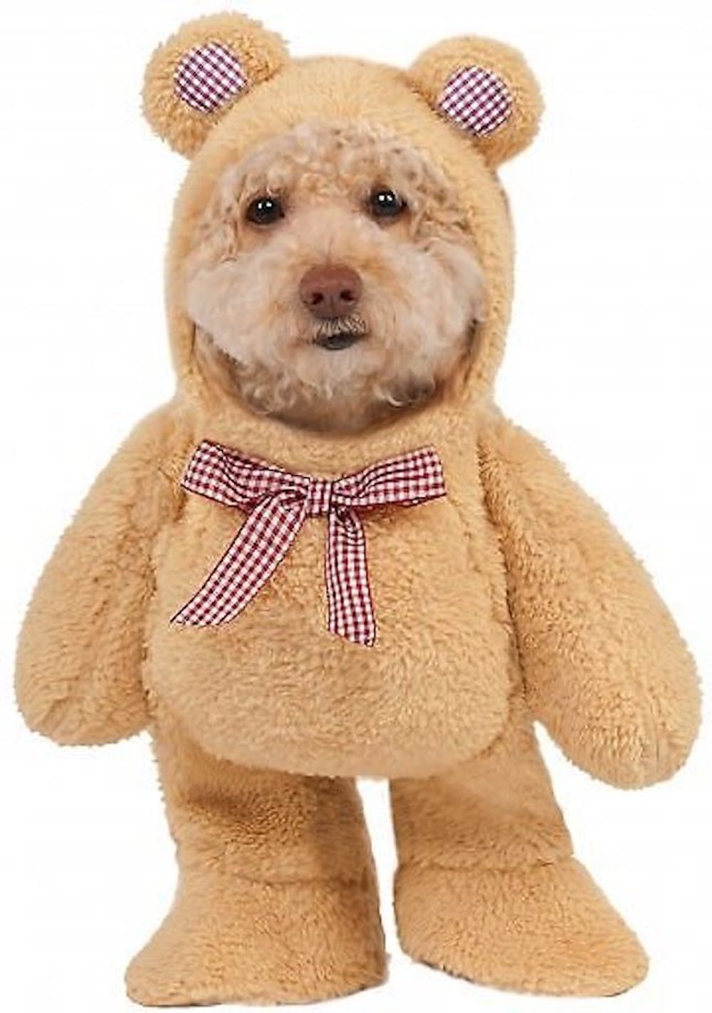 TeddyBear Dog Costume