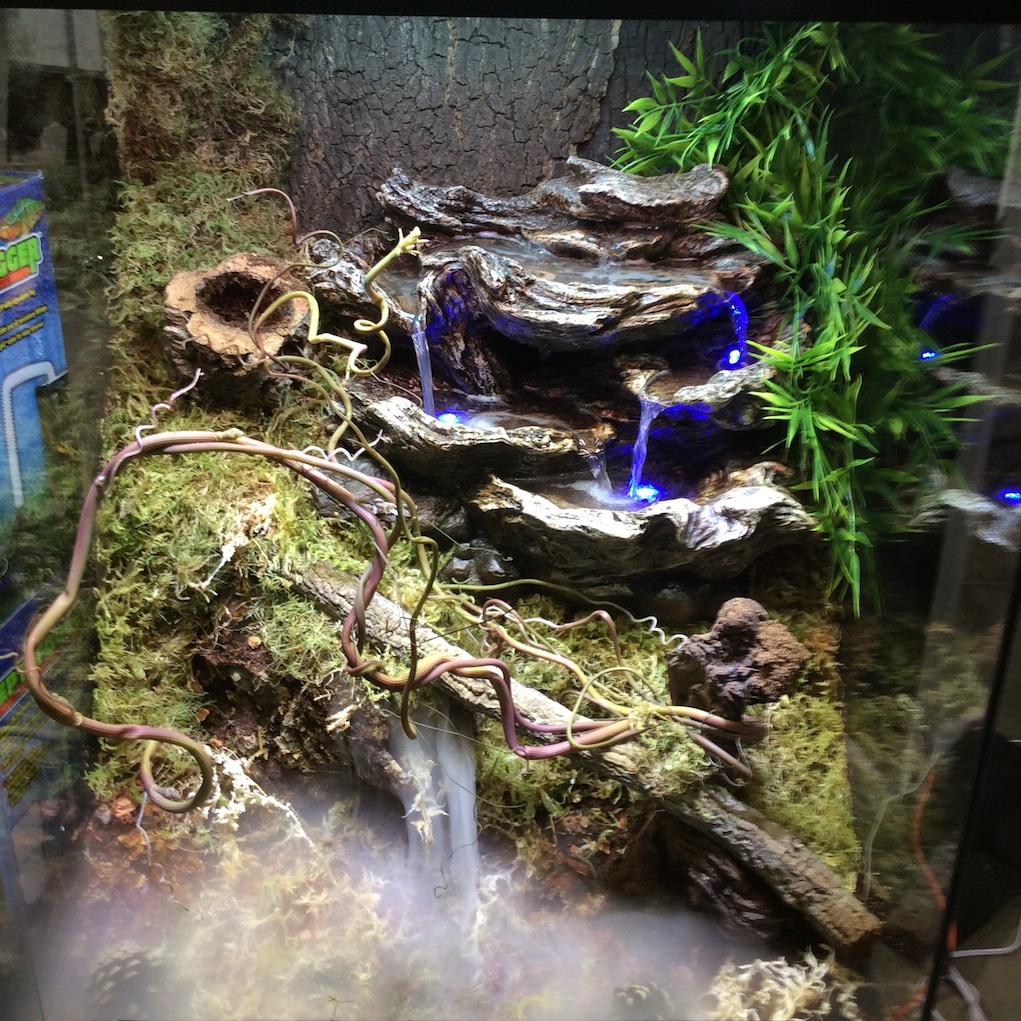Blue Light Misting Terrarium