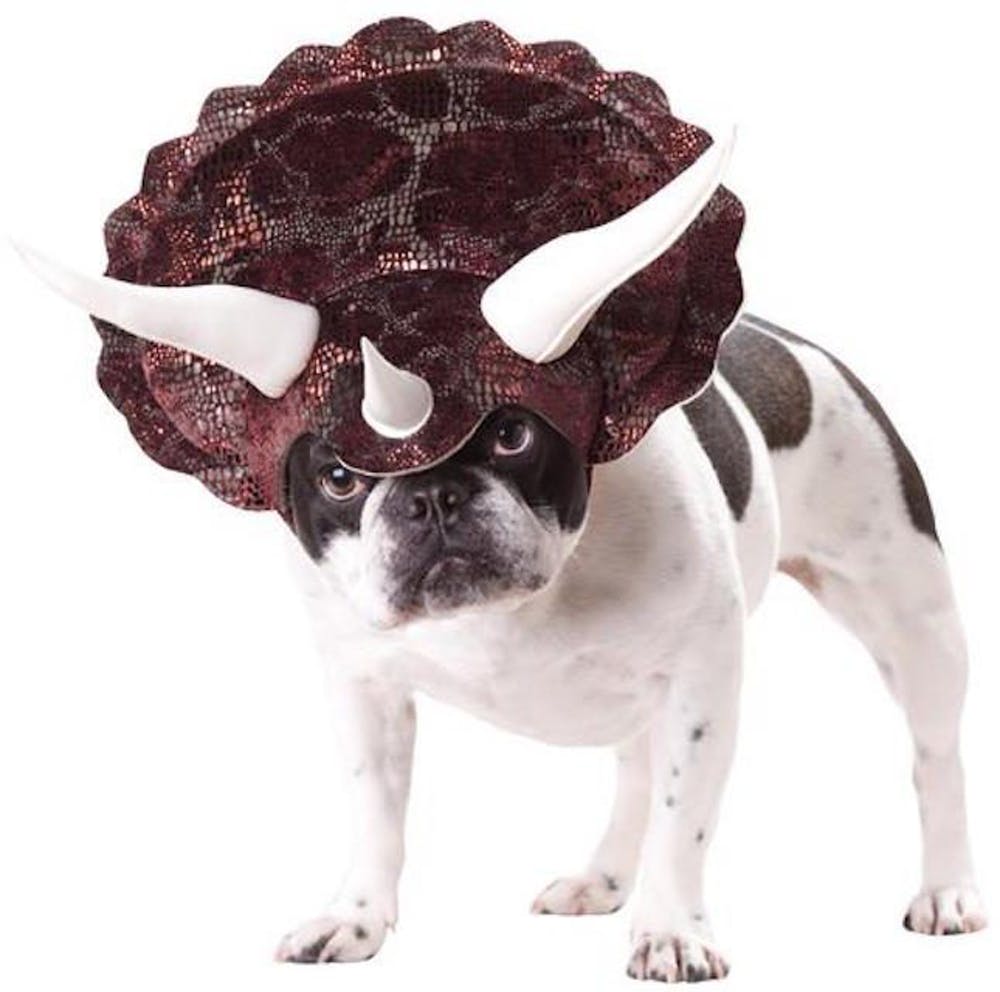 Triceratops Dog Costume