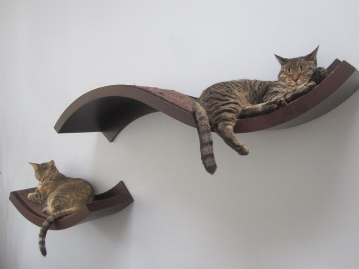 Wave Perch For Cats